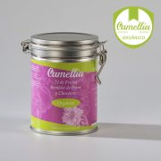 Té de Frutas Bombón de Fresa y Chocolate - Tés Camellia