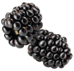 moras1